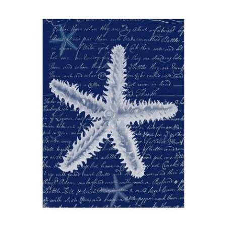 Fab Funky 'White Starfish On Blue B' Canvas Art,18x24